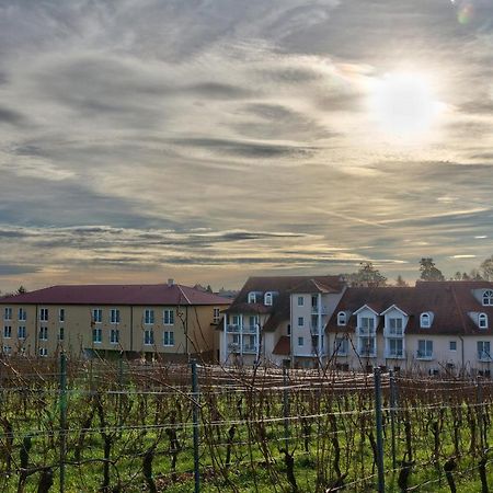 Das Prinzregent Edenkoben Bagian luar foto