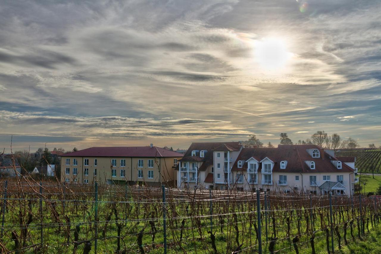 Das Prinzregent Edenkoben Bagian luar foto